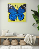 36” x 36”  Butterfly Original Painting