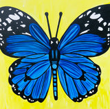 36” x 36”  Butterfly Original Painting